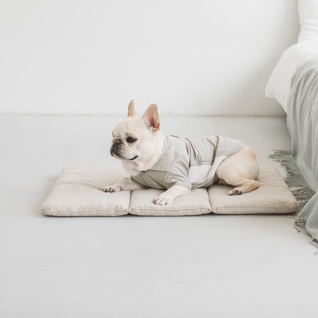 オンライン購入  Mサイズ ベッド コットンリネン フリーステッチ 犬用品