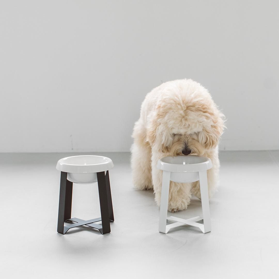 ペット 食器 陶器 犬 猫 pecolo Food Stand S tall [ステンレス
