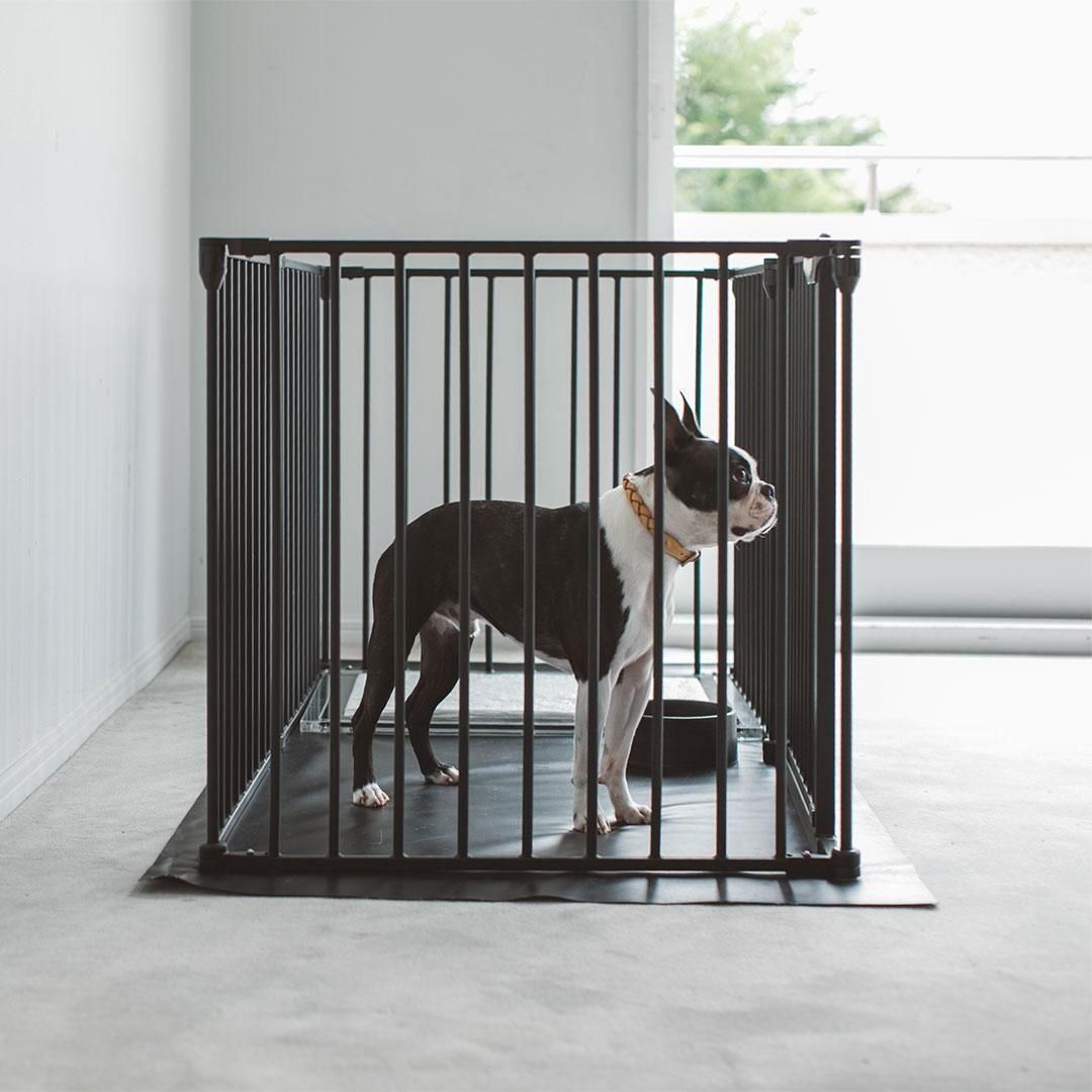 【FREE STETCH】犬用トイレ 黒色 Mサイズ FREE STETCH】犬用トイレ 黒色 Mサイズ