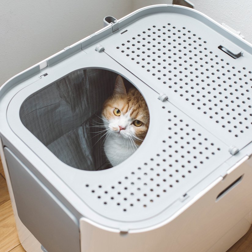 猫トイレ/modko modkat litter box  ホワイト用品の種類トイレ用品おむつ