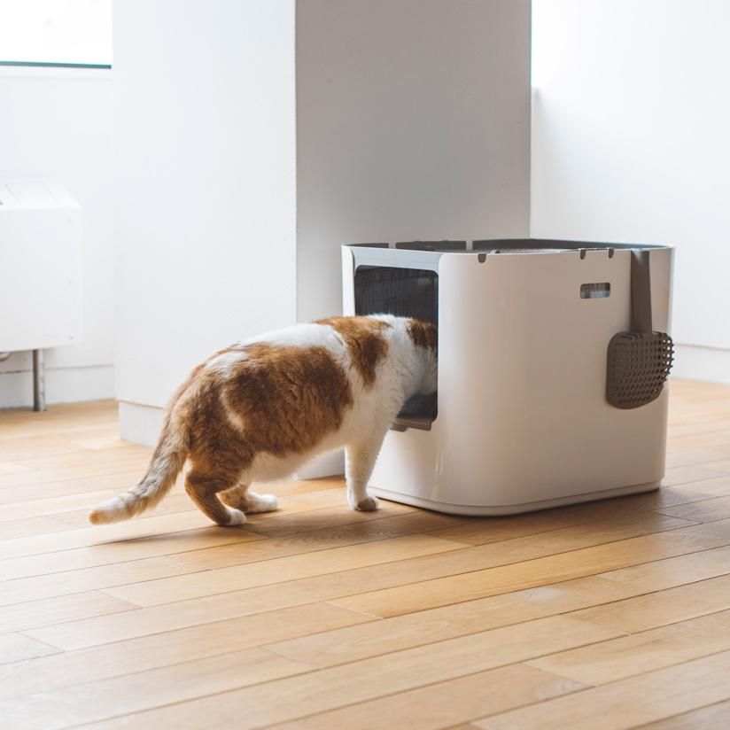 猫トイレ/modko modkat litter box モデキャット モデコ モデキャットリターボックス/modko modkat litter box
