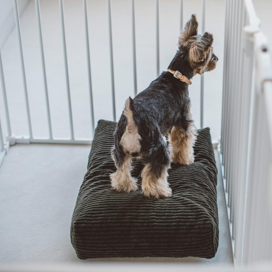 犬のベッドはドッググッズ 通販 販売のフリーステッチ 犬のベッドはドッググッズ 通販 販売のフリーステッチ