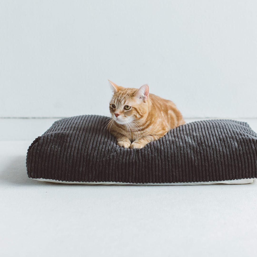 コーデュロイ スクエア ベッド - ドッググッズ・猫グッズ通販