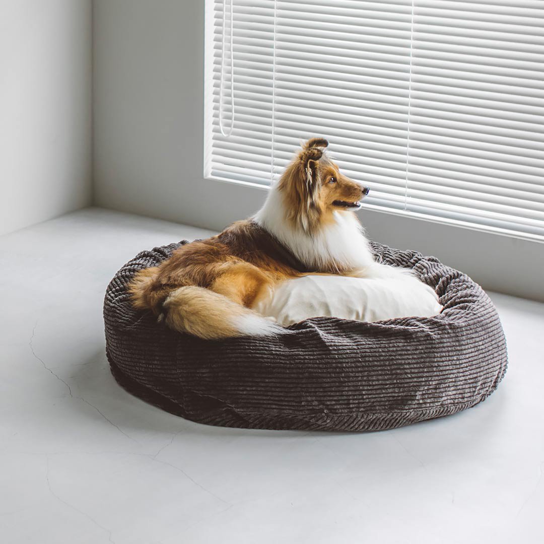 フリーステッチ pecolo Pet Bed ペットベッド - 犬用品