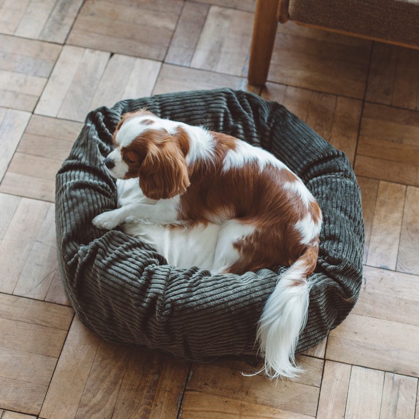 犬のベッドはドッググッズブランド通販/販売のフリーステッチ