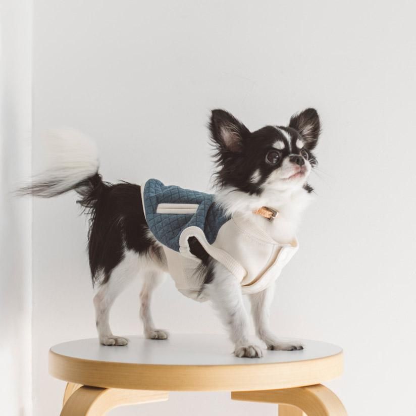 犬の洋服はドッググッズ通販 販売のフリーステッチ 犬の洋服はドッググッズ通販 販売のフリーステッチ