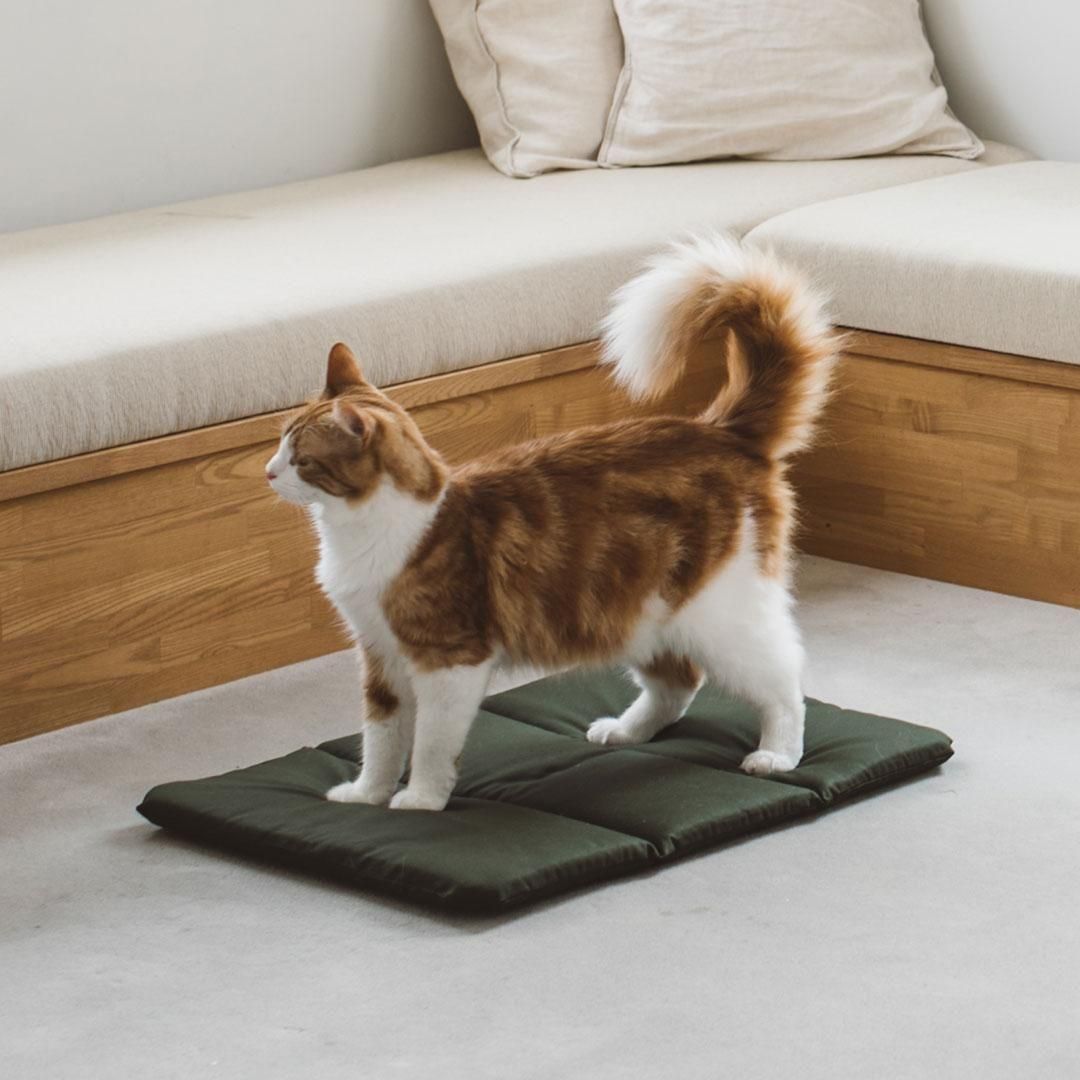 スティッチ冬にお勧め!折りたたみベッド 寝袋 可愛デザイン ふわふわ マットレス スティッチ冬にお勧め!折りたたみベッド 寝袋 可愛デザイン ふわふわ