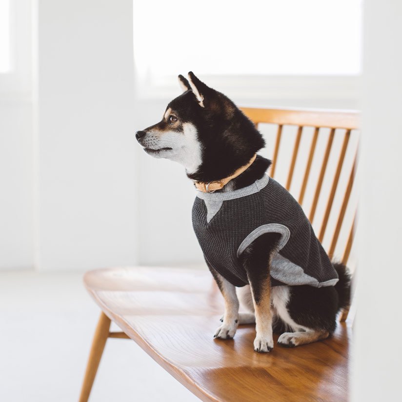 高品質の人気 オーダー専用犬服 再 マスクマンワッフルタンク 犬用品 Ingenierowhite Com