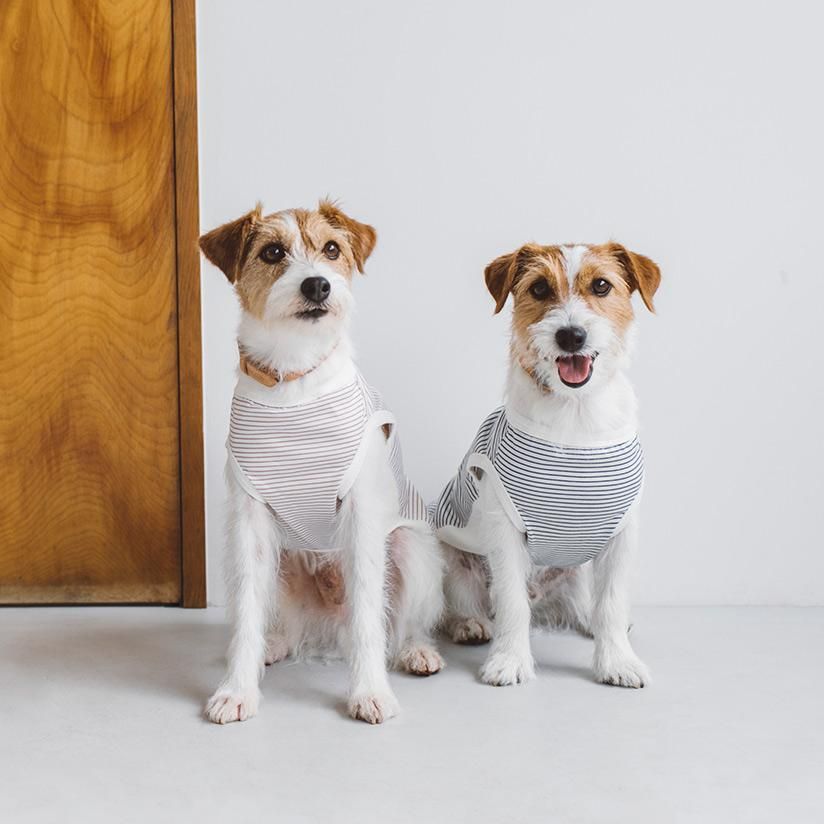 犬服はドッググッズブランド通販 販売のフリーステッチ 犬服はドッググッズブランド通販 販売のフリーステッチ