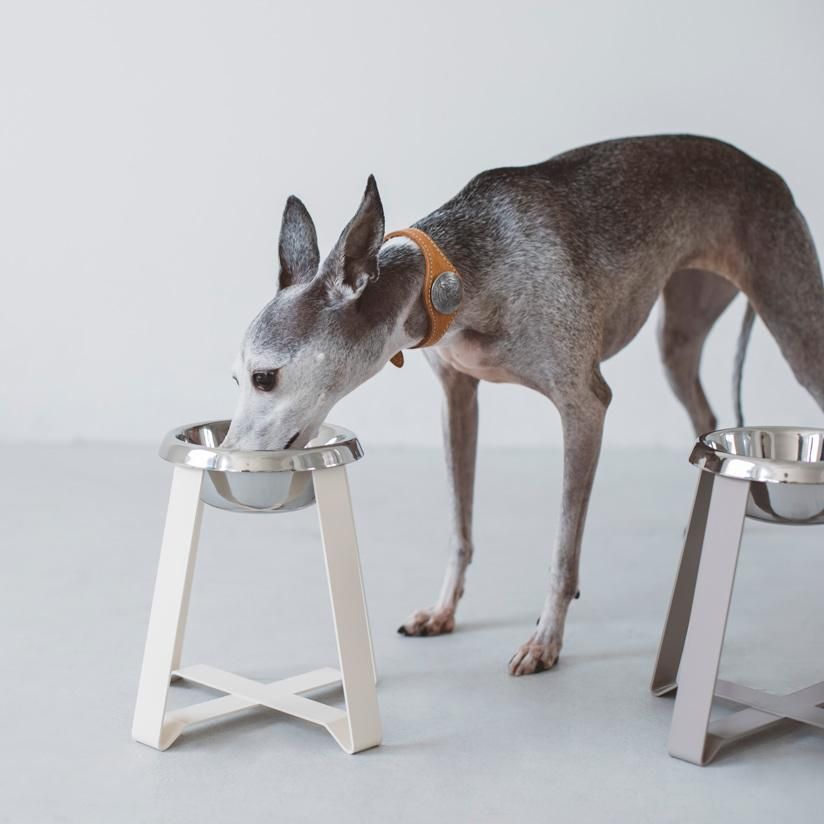 【2個セット】pecolo フードボウル ステンレス Ｓhightall ペット 食器 陶器 犬 猫 pecolo Food Stand S hightall