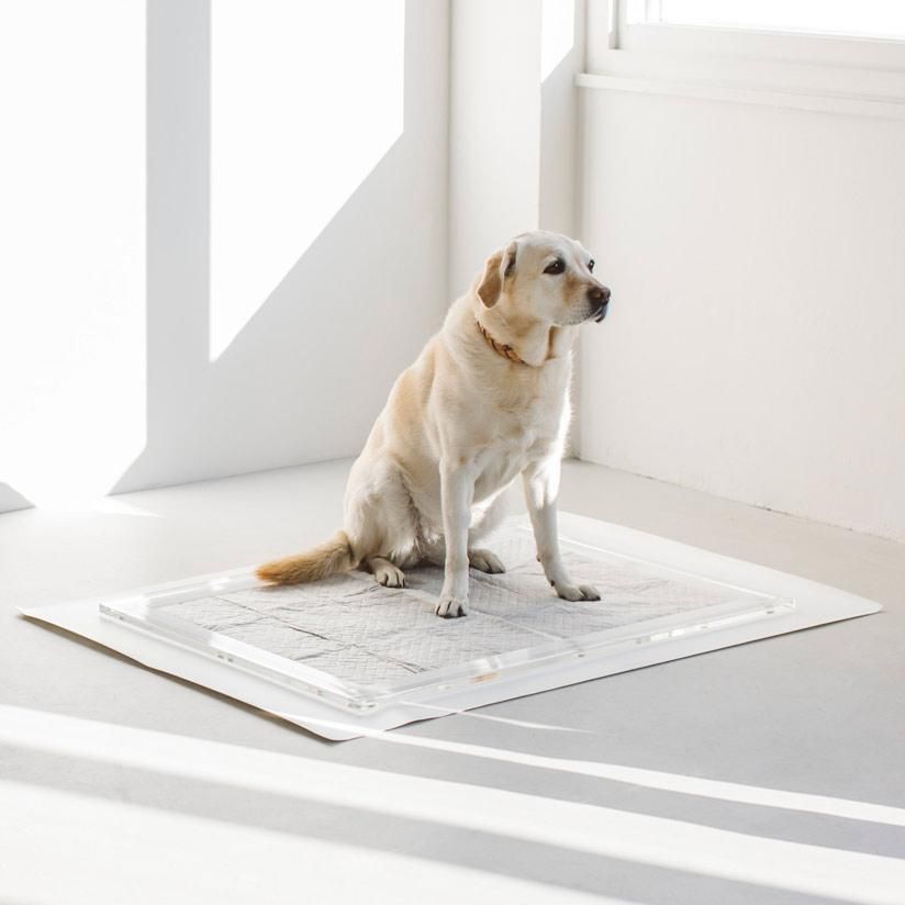 【FREE STETCH】犬用トイレ 黒色 Mサイズ トイレトレイシート - ドッググッズ・猫グッズ通販 free stitch