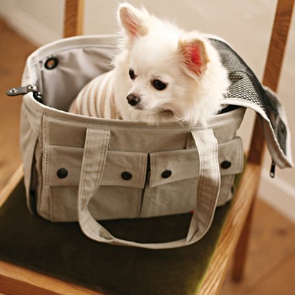 小型犬用キャリーバッグはドッググッズ 通販 販売のフリーステッチ