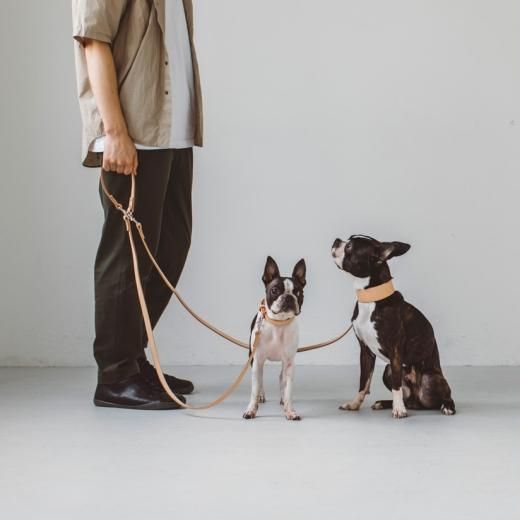 リード＆ハーネス2点セット‼️ RED＆ヌメ 犬 リード 2頭引き ダブルリード ハーネス 2匹用 同輪 小型犬