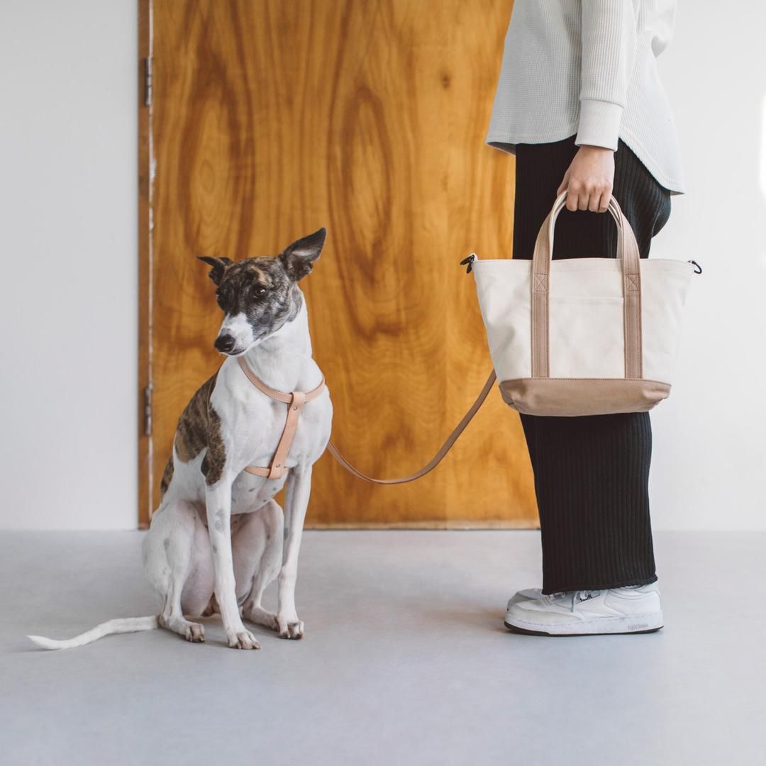 ストローリングバッグ - ドッググッズ・猫グッズ通販 free