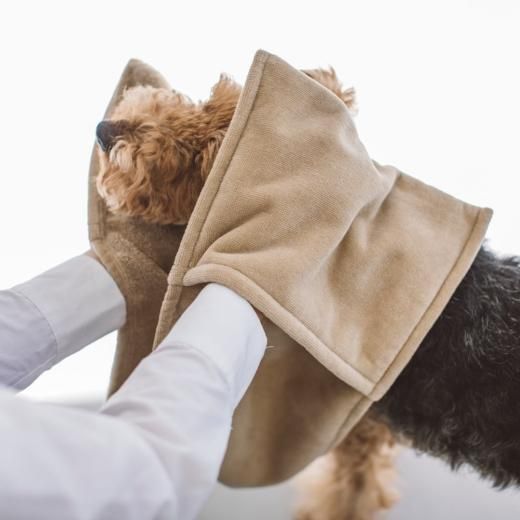 新品 犬服 free stitch リバーシブルジャケット マフラー セット