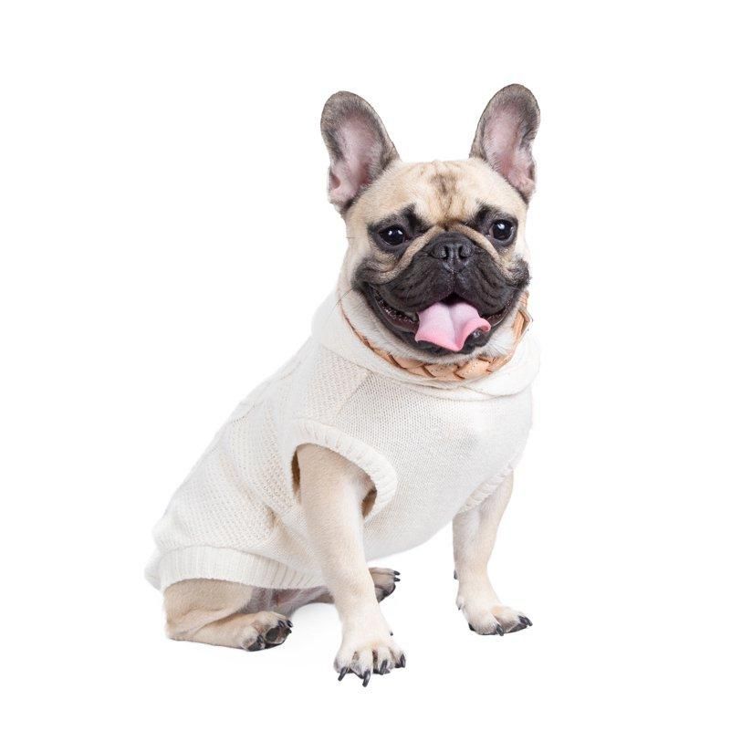 より豊かな暮らしを愛犬と フリーステッチ(free stitch)は より豊かな暮らしを愛犬と フリーステッチ(free stitch)は
