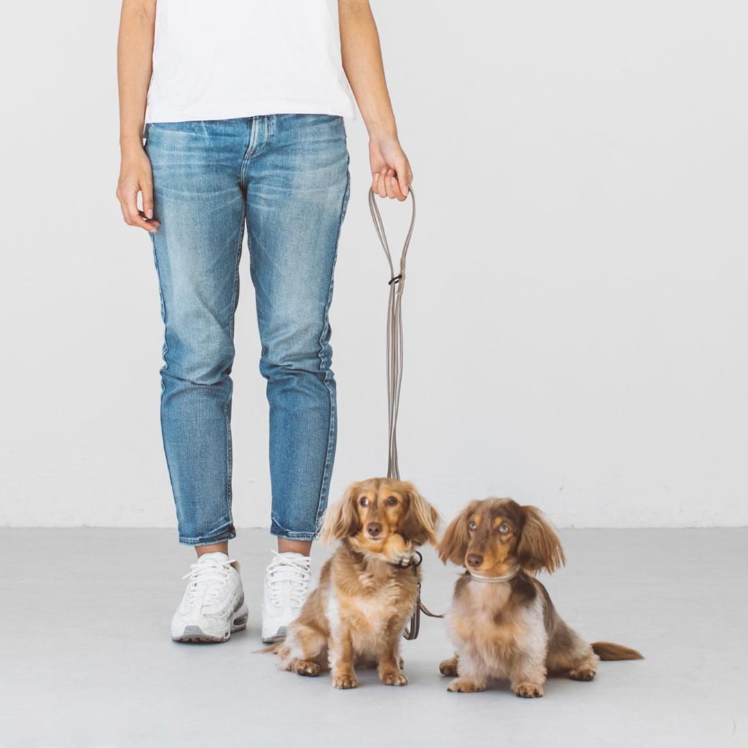 新品 オリバーガル sleeping poodle Oliver Gal -オリバー・ガル-】絵画 | LEAandRIO