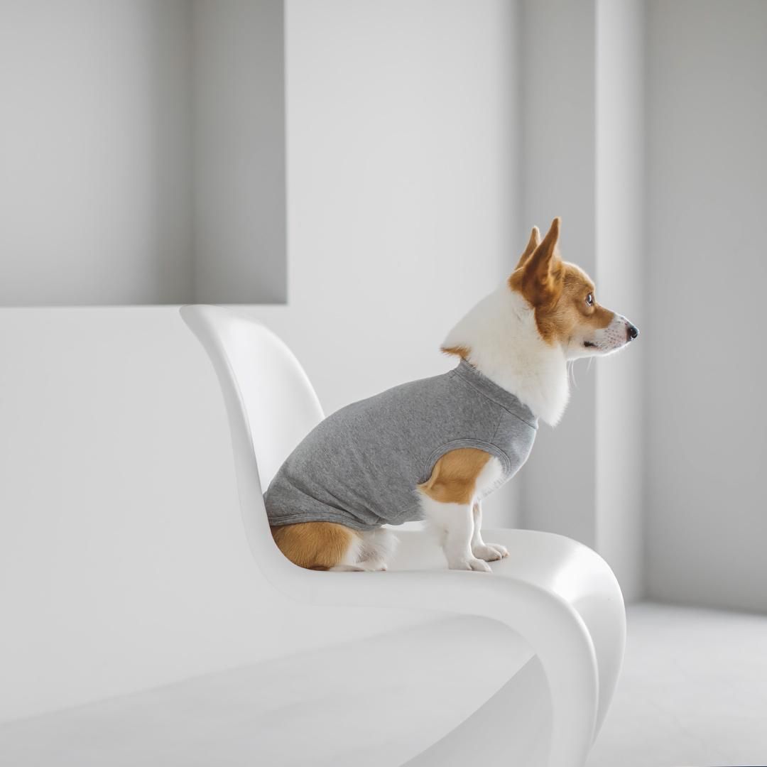 free stitch フード付き犬服 Lサイズ 低 価格ペット用品 - free stitch フード付き犬服 Lサイズ
