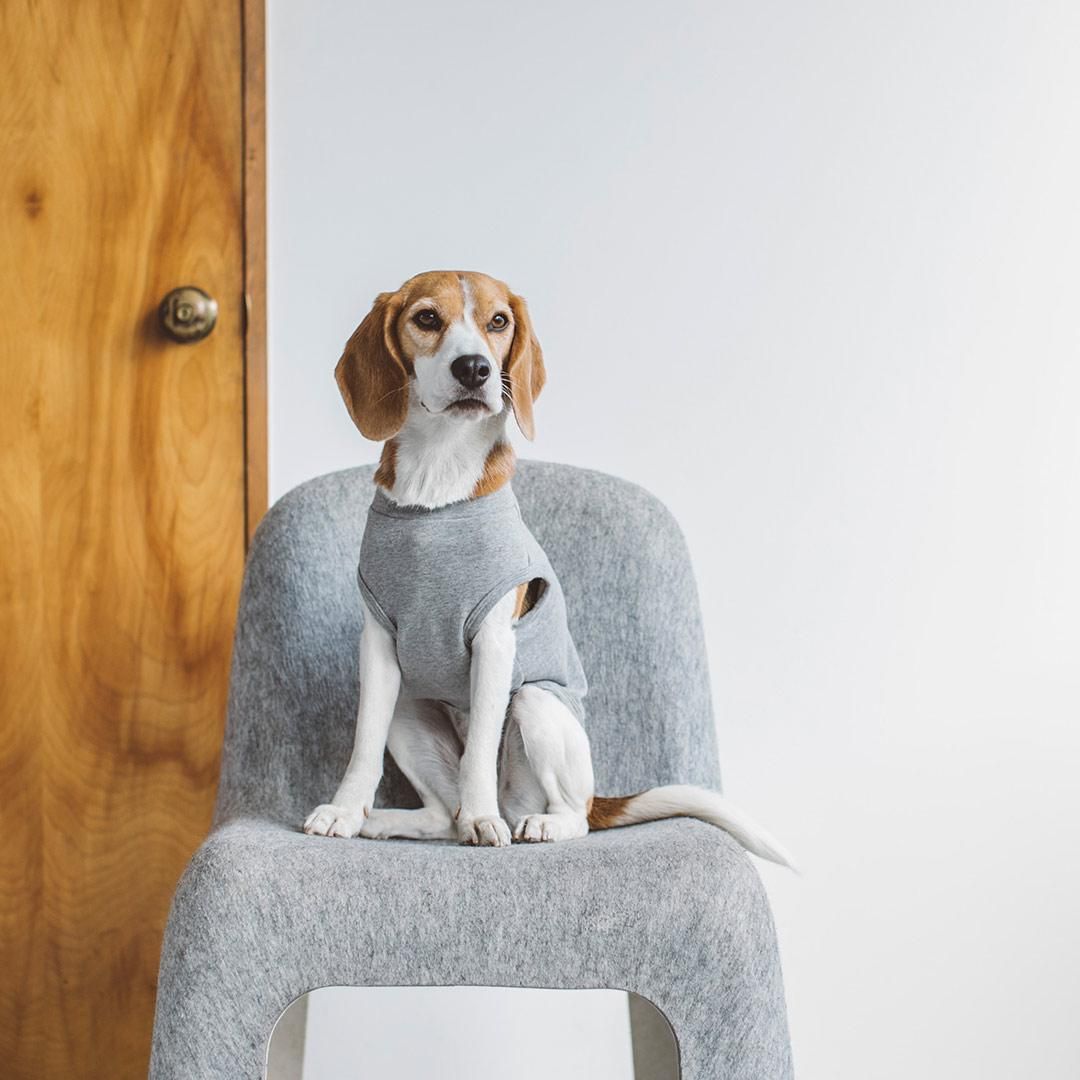 Freestitchフリースティッチレインコート大型犬用サイズ6L ストレッチレインコート - ドッググッズ・猫グッズ通販 free