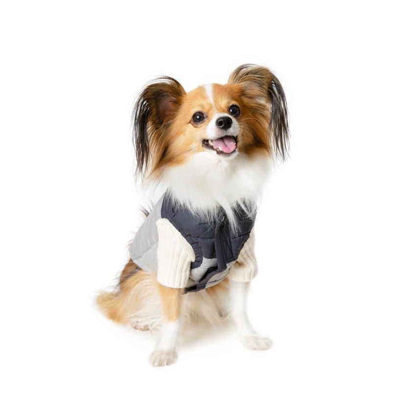 より豊かな暮らしを愛犬と フリーステッチ（free stitch）は