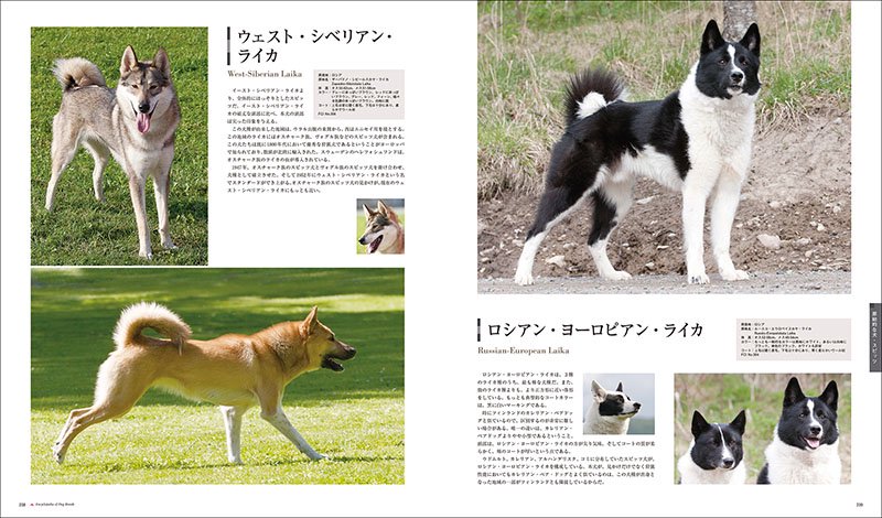 最新 世界の犬種大図鑑 増補改訂 - ドッググッズ・猫グッズ通販 free