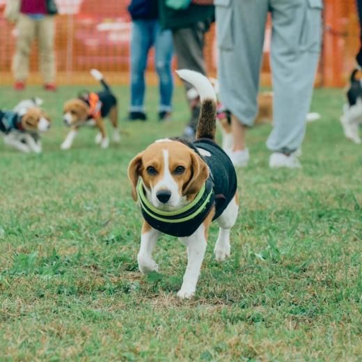 ӡߡȥå 2025ɥåͽں