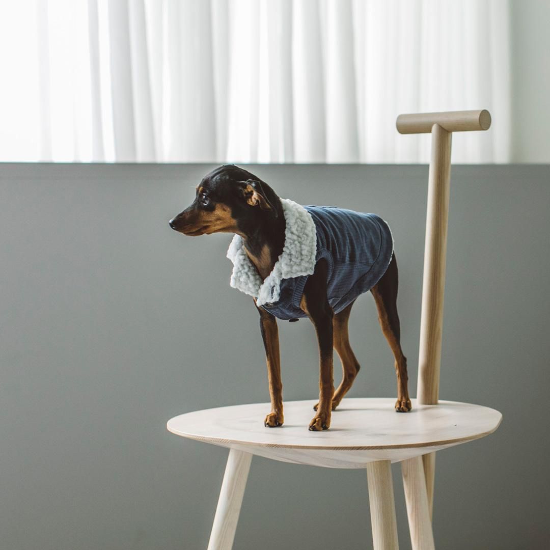 コーデュロイボアジャケット - ドッググッズ・猫グッズ通販 free