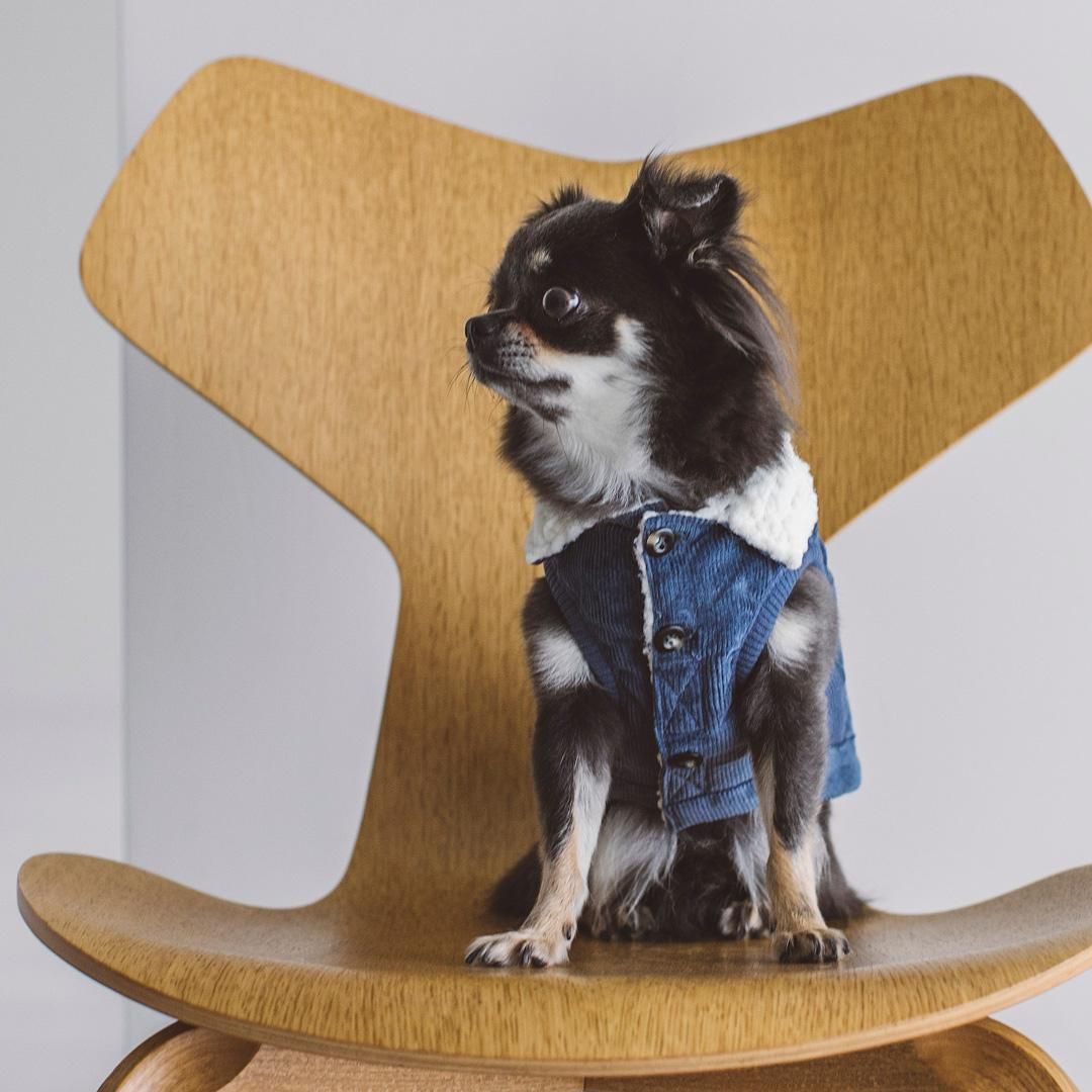 コーデュロイボアジャケット - ドッググッズ・猫グッズ通販 free