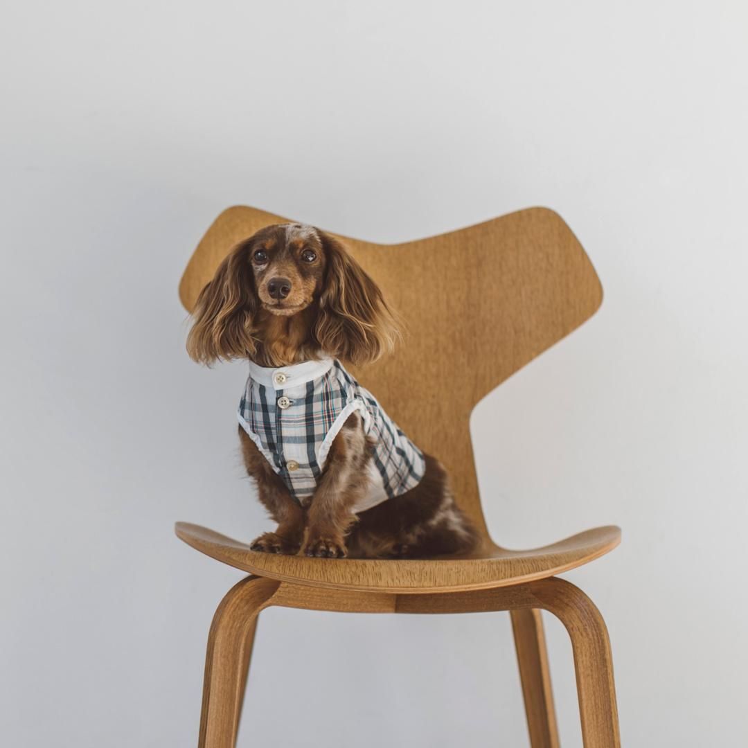 新品 犬服 free stitch フリーステッチ バンドカラーシャツ 30%OFF!!】バンドカラーチェックシャツ - ドッググッズ・猫