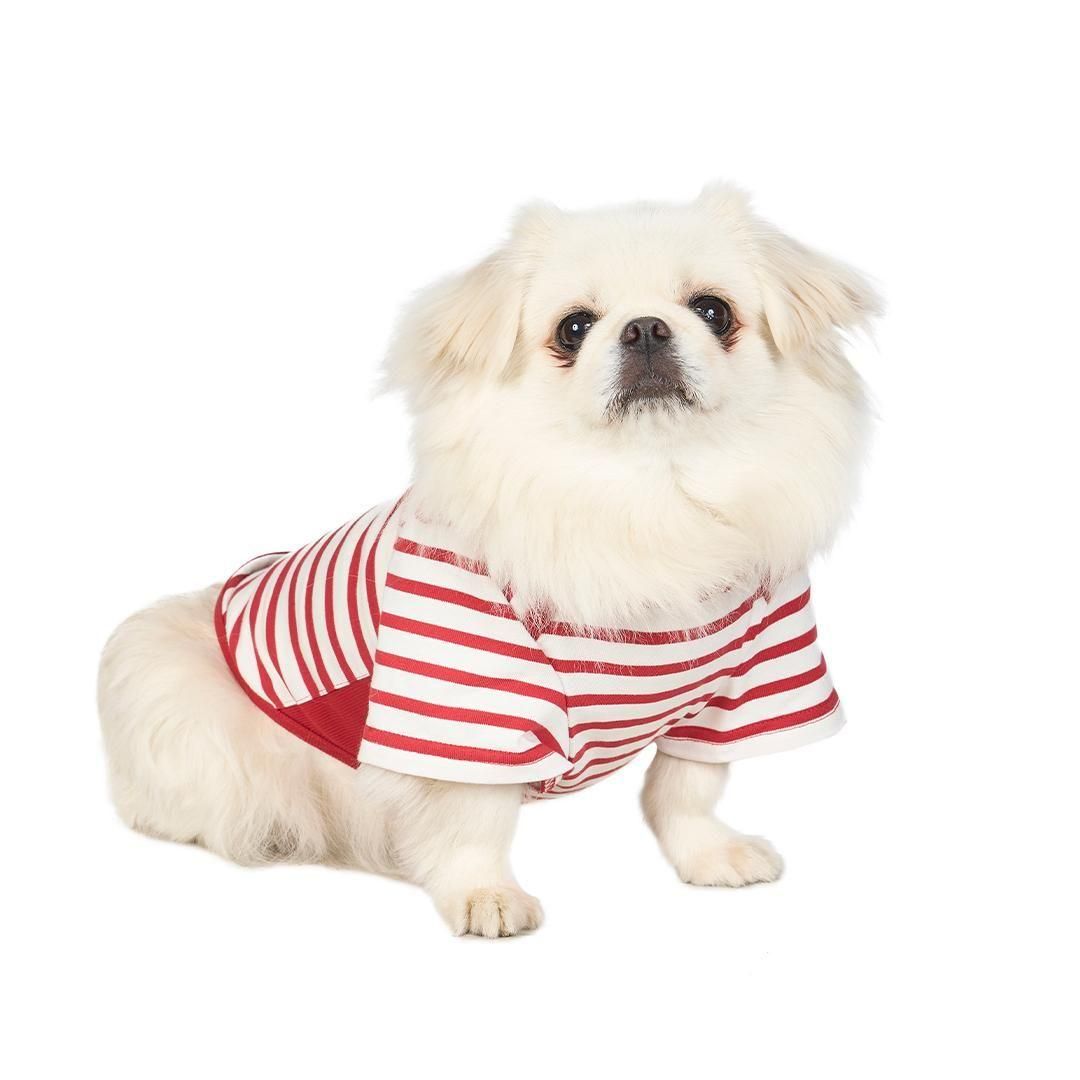 ペキニーズミートアップ2025 チャリティ撮影会予約ページ