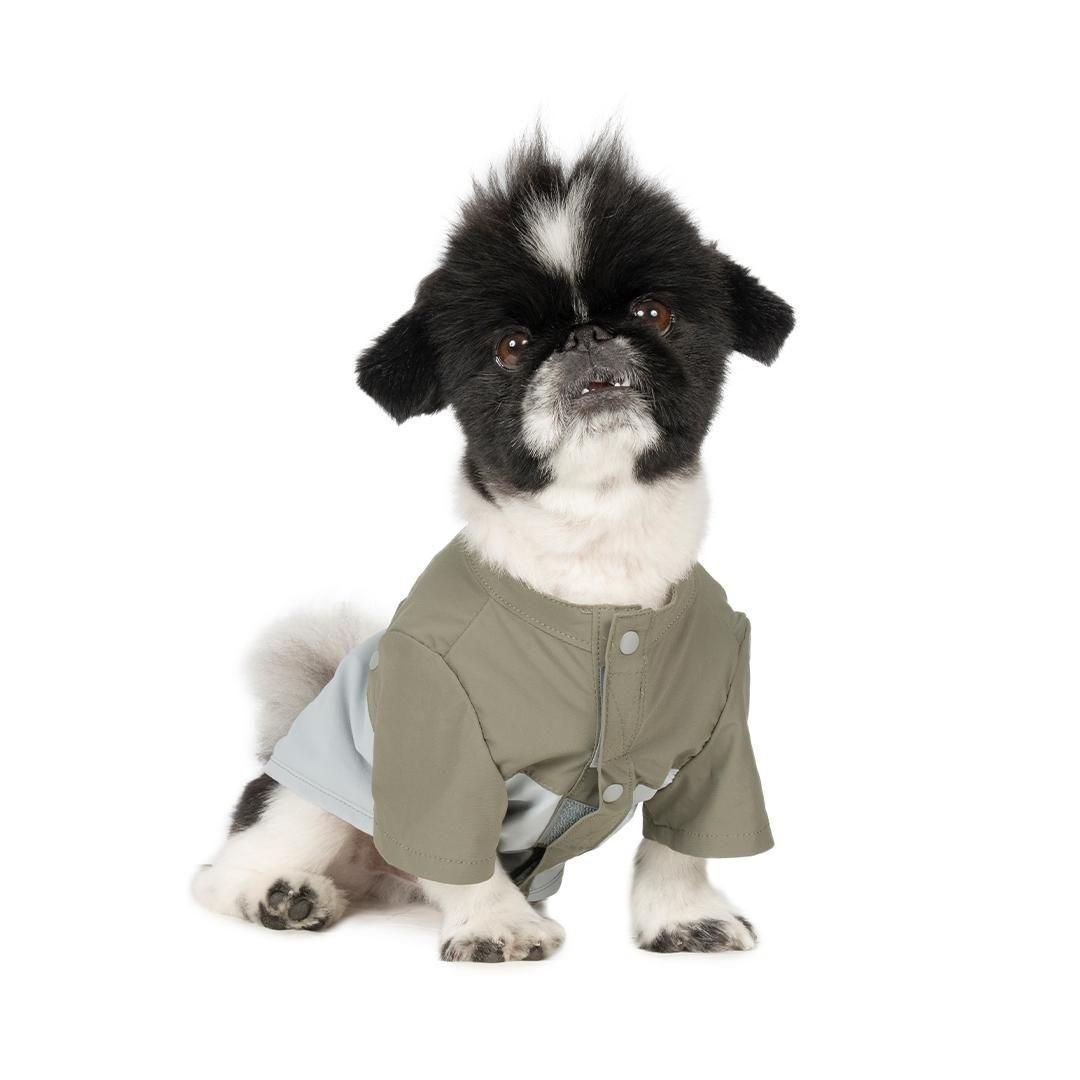 ペキニーズミートアップ2025 チャリティ撮影会予約ページ