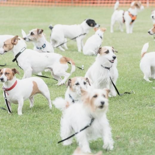 ååƥꥢեƥХ2025ΥեAϥƥͽڡں