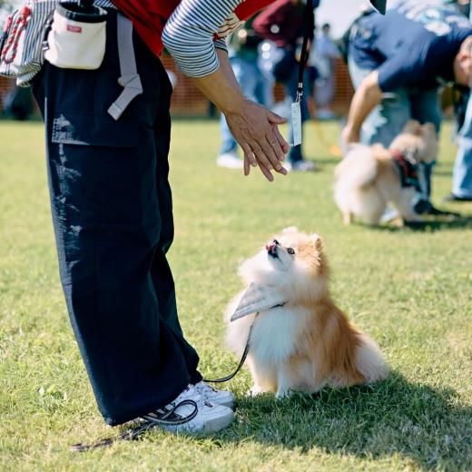 ݥ˥ߡȥå2025ΥեBϥƥͽڡں