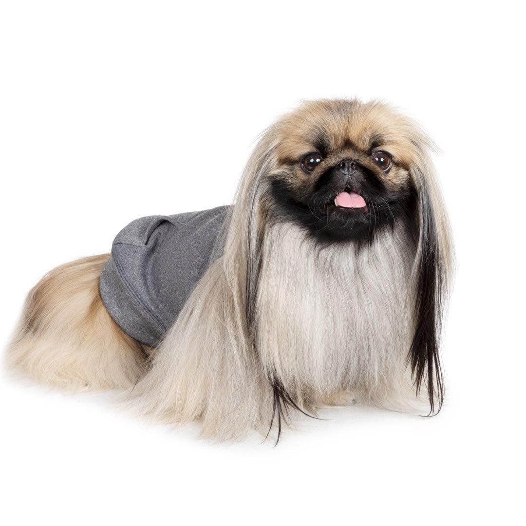 SHOKICHIさん掲載ページ（ポスターサイズ）#5117 SHOKICHIさん掲載ページ（ポスターサイズ）#5117