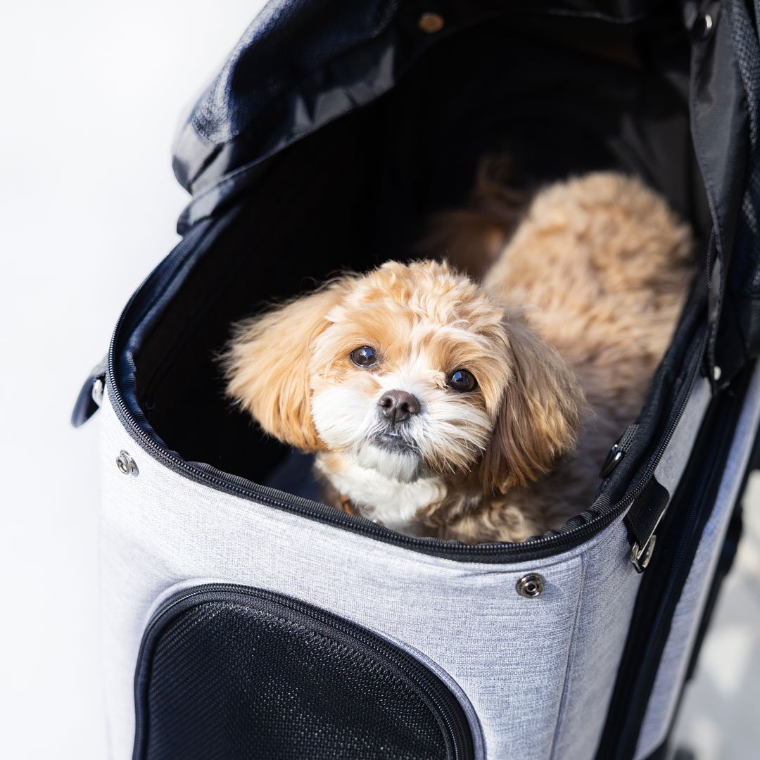 お値引きしました 犬 カート ロイヤルテイルズ エアバギー