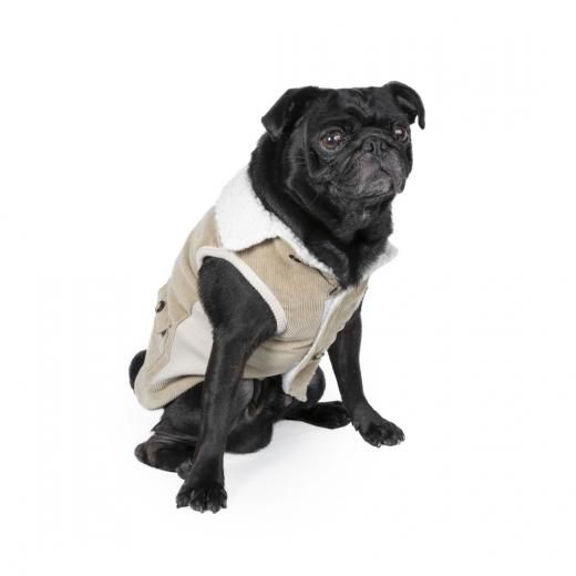 パグ様 CD】「VAZZROCK」bi-colorシリーズ4thシーズン⑥「大黒 岳×名積ルカ