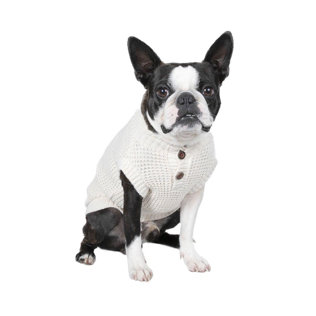 より豊かな暮らしを愛犬と フリーステッチ（free stitch）は