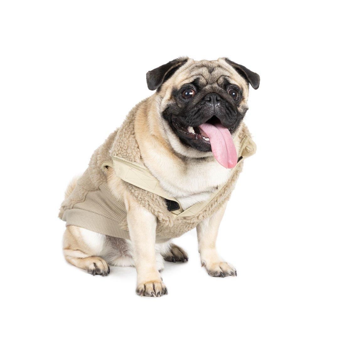 専用●犬服●ハンドメイド 胴32 NO.554 専用○犬服○ハンドメイド 胴32 NO.554