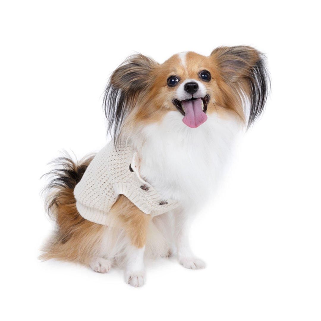 ペットパラダイス 背中開き ベスト 苺 刺繍 中型犬 大型犬 / PET