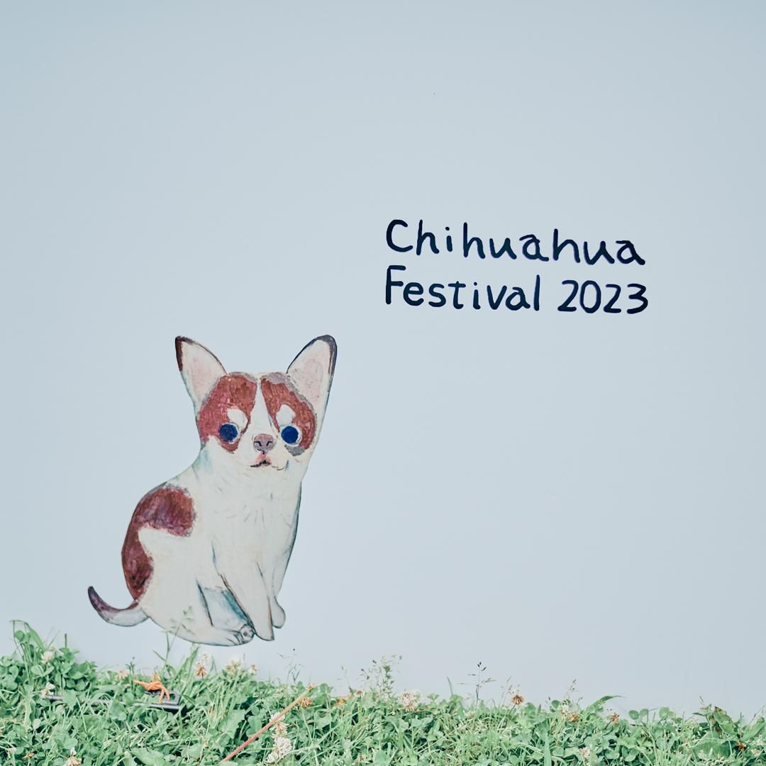 Chihuahua Festival 2023 チワワが数百頭～千頭集まる特別なオフ会