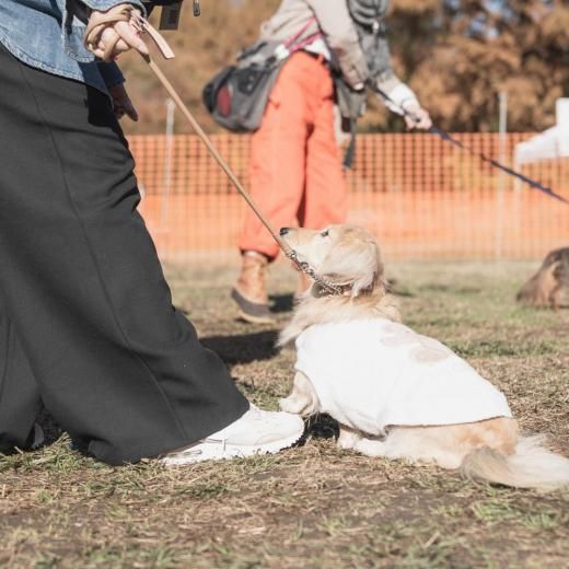 åեɥߡȥå2025ΥեBϥƥͽڡں