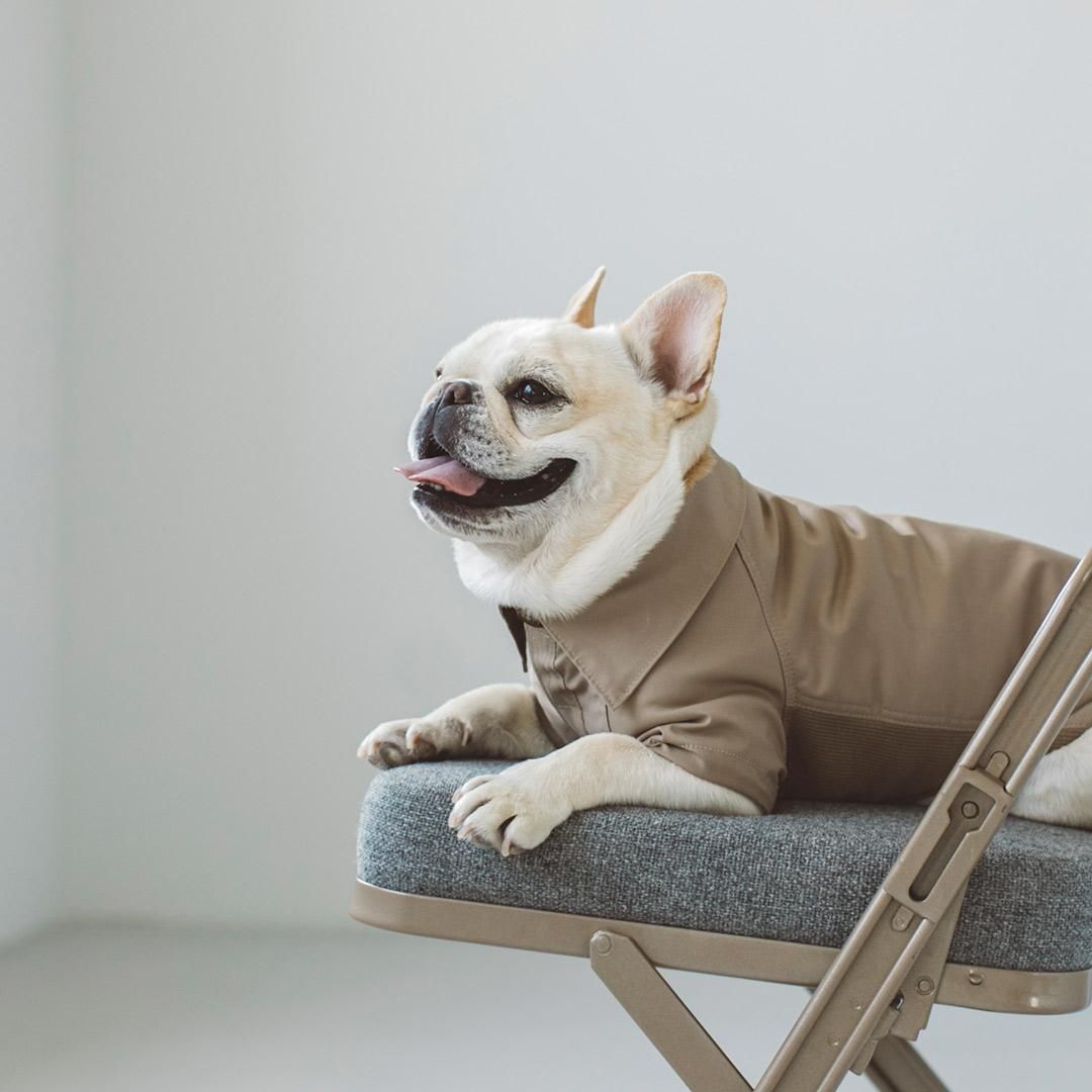 人気沸騰ブラドン バルマカーンコート stitch free ドッググッズ・猫グッズ通販 - 犬服・アクセサリー