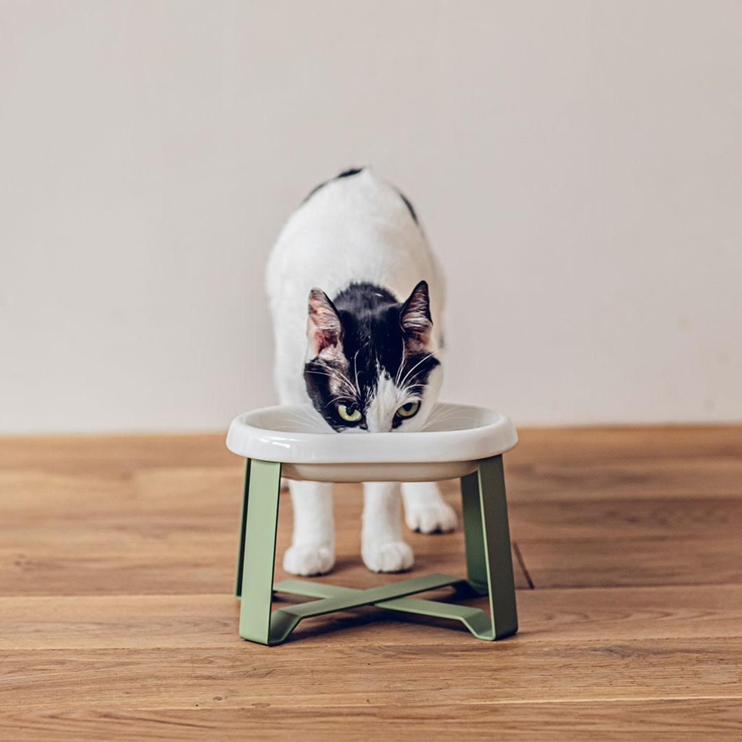 おまけ付pecolo Food Stand Zen Pet Diner 猫用食器 おまけ付pecolo Food Stand Zen Pet Diner 猫用食器