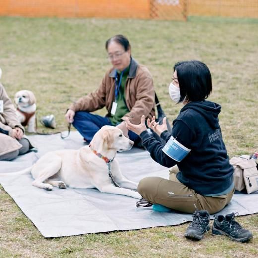 ȥ꡼Сǥ2025ΥեCϥƥͽڡں