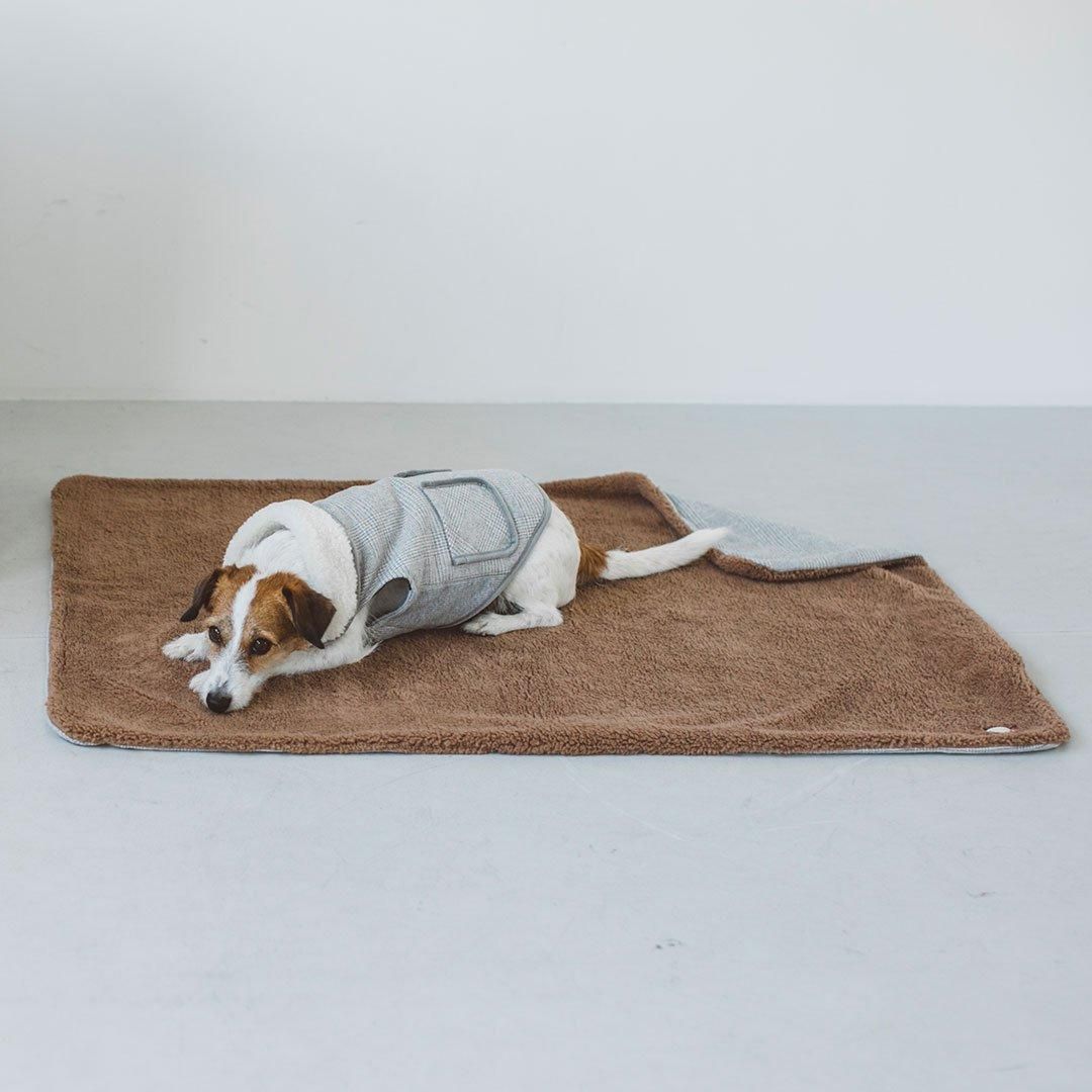 グレンチェック ツイードコート - ドッググッズ・猫グッズ通販 free