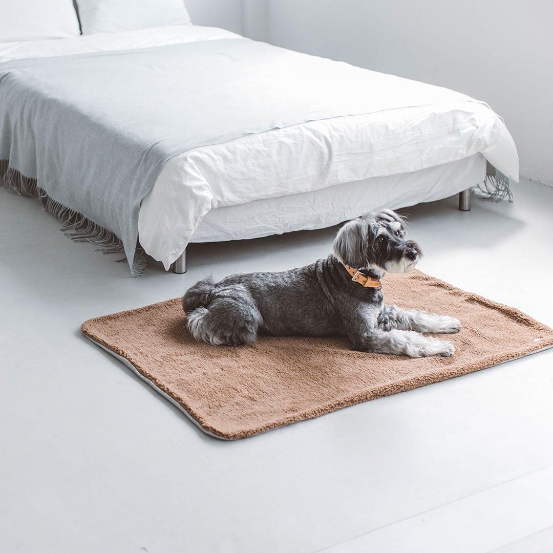 グレンチェック ツイードブランケット - ドッググッズ・猫グッズ通販