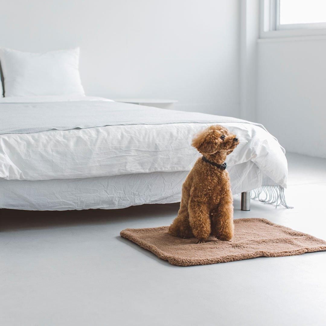 グレンチェック ツイードブランケット - ドッググッズ・猫グッズ通販