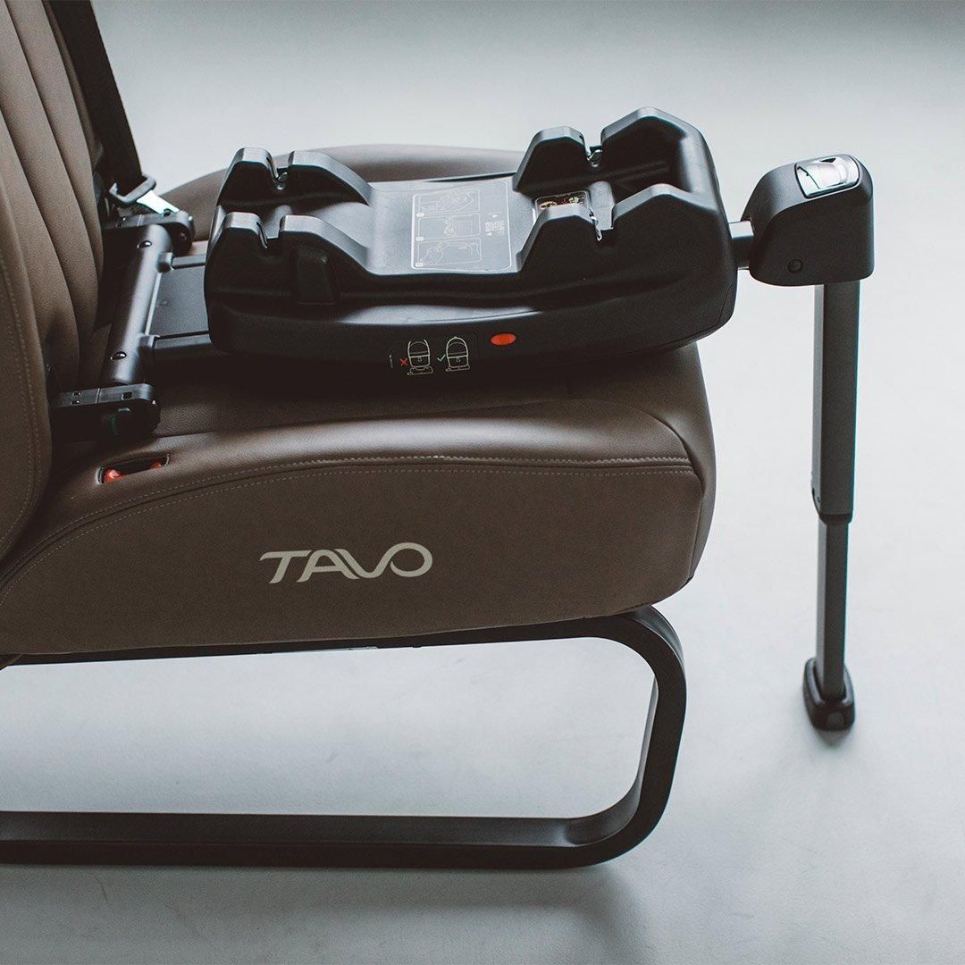 ター坊様用 TAVO ベース - ドッググッズ・猫グッズ通販 free stitch（フリーステッチ）