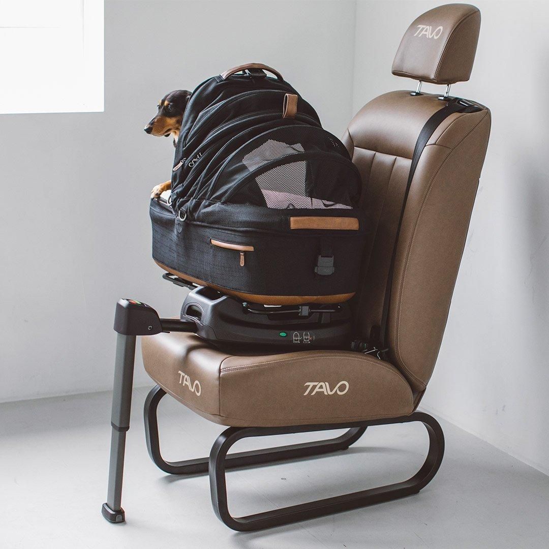 TAVO Maeve メイブMFサイズ単体 sora_select TAVO Maeve メイブ ＋ ベース MF - ドッググッズ・猫グッズ通販 free