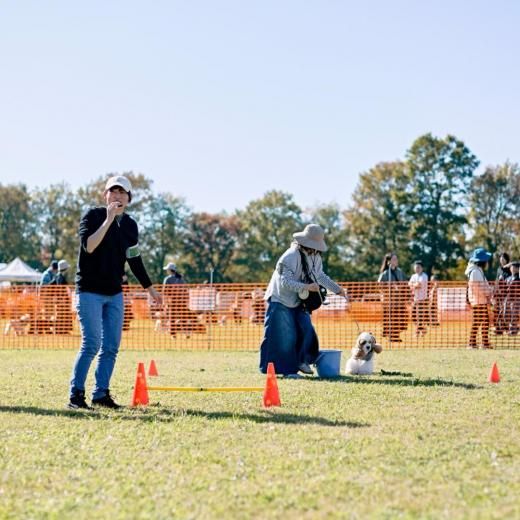 åեƥХ 2025ΥեAϥƥͽڡں